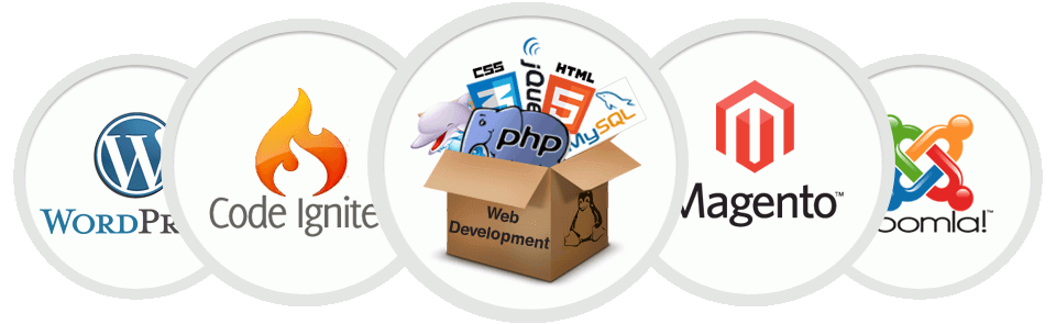 web development company